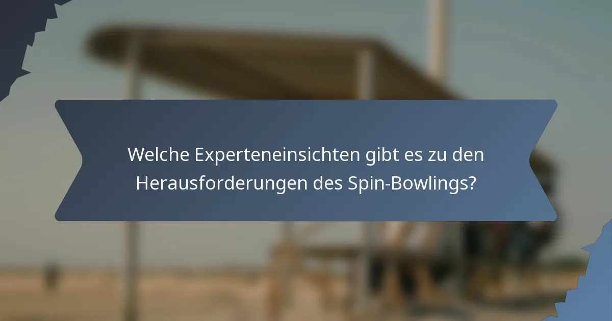 Welche Experteneinsichten gibt es zu den Herausforderungen des Spin-Bowlings?